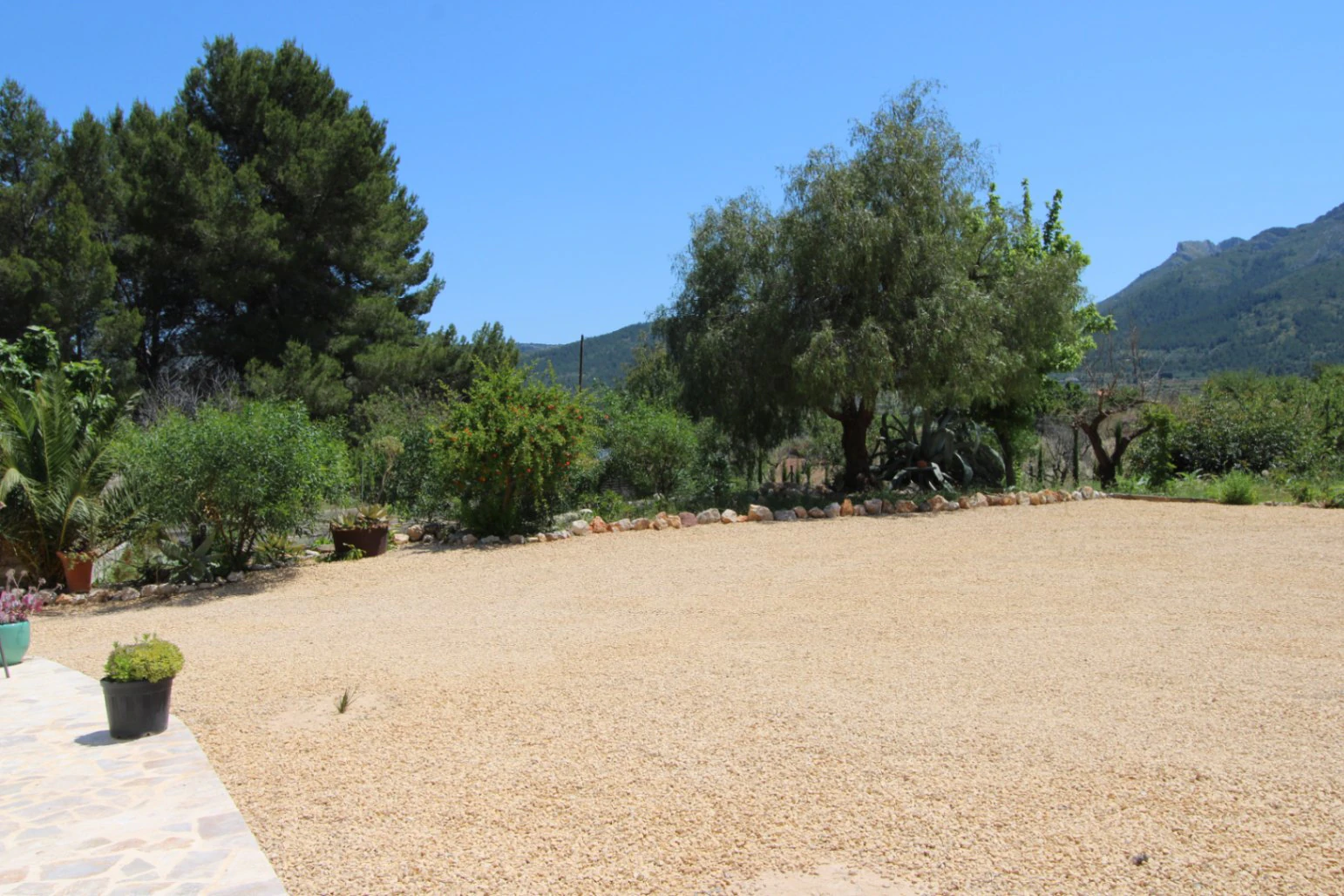 Espectacular finca a la venta en Alcalali