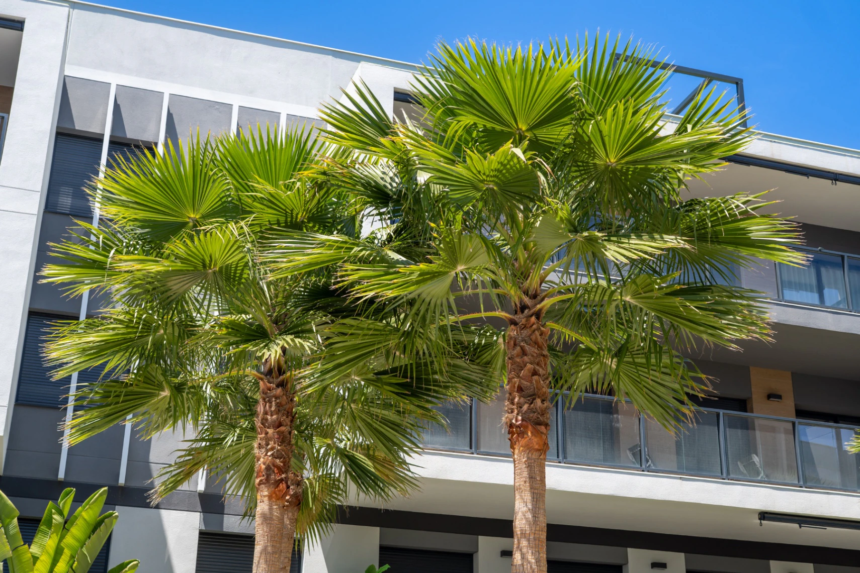 Penthouse for sale in Jávea