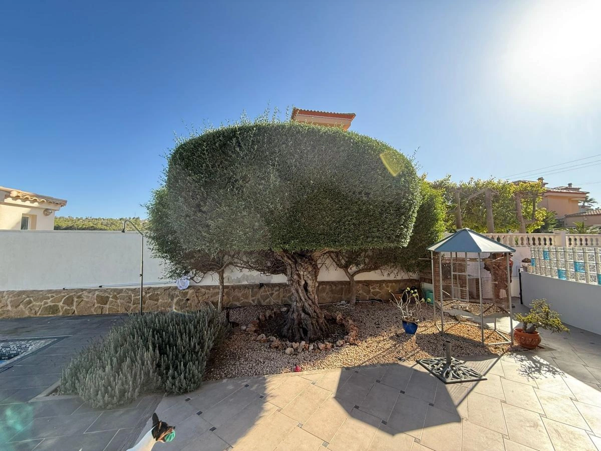 Detached Villa for sale in San Miguel De Salinas