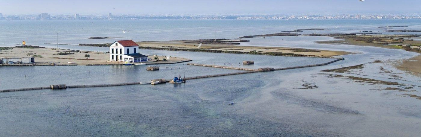 Villa for sale in San Pedro Del Pinatar