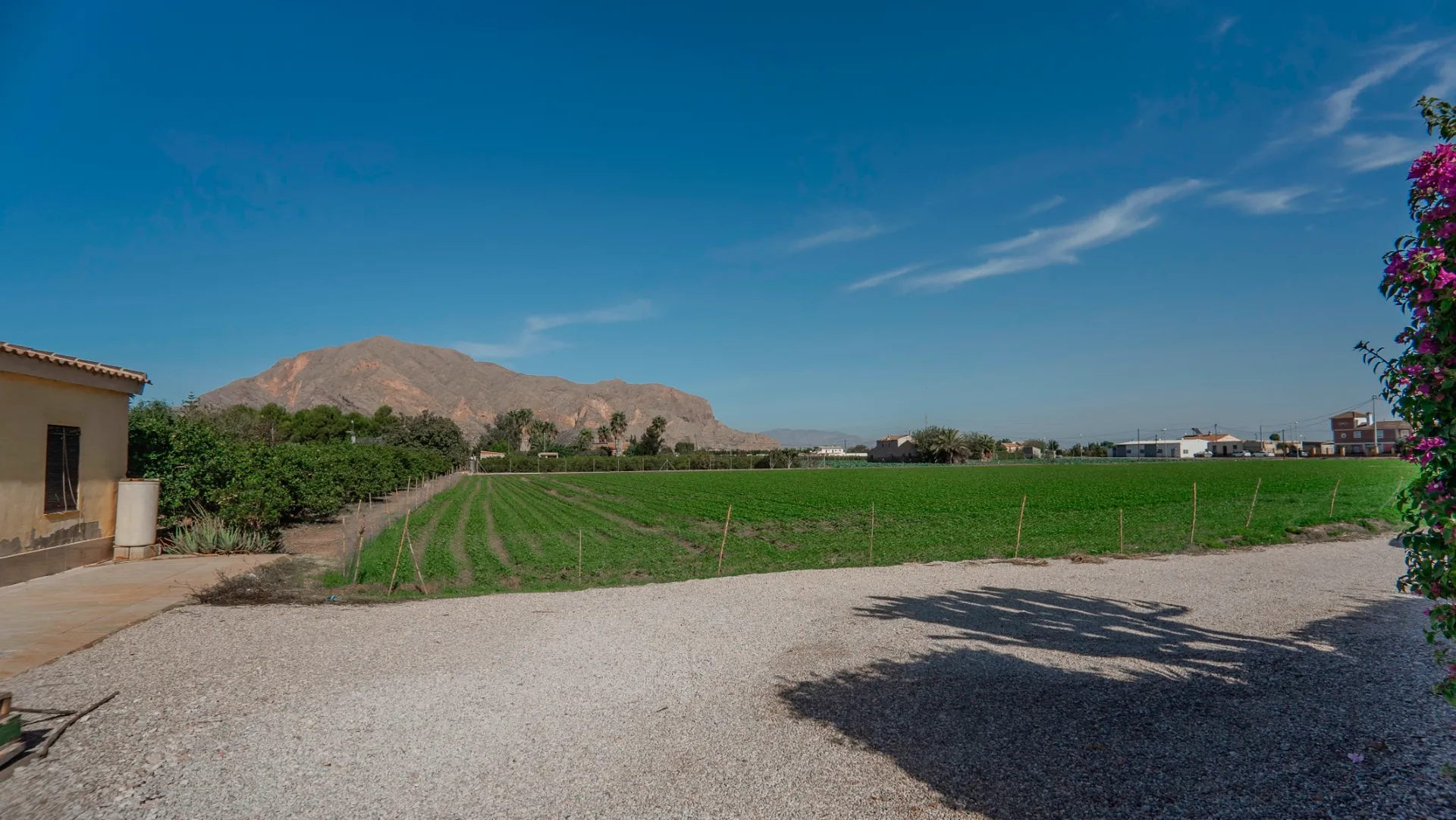 Country Property à la vente à Orihuela