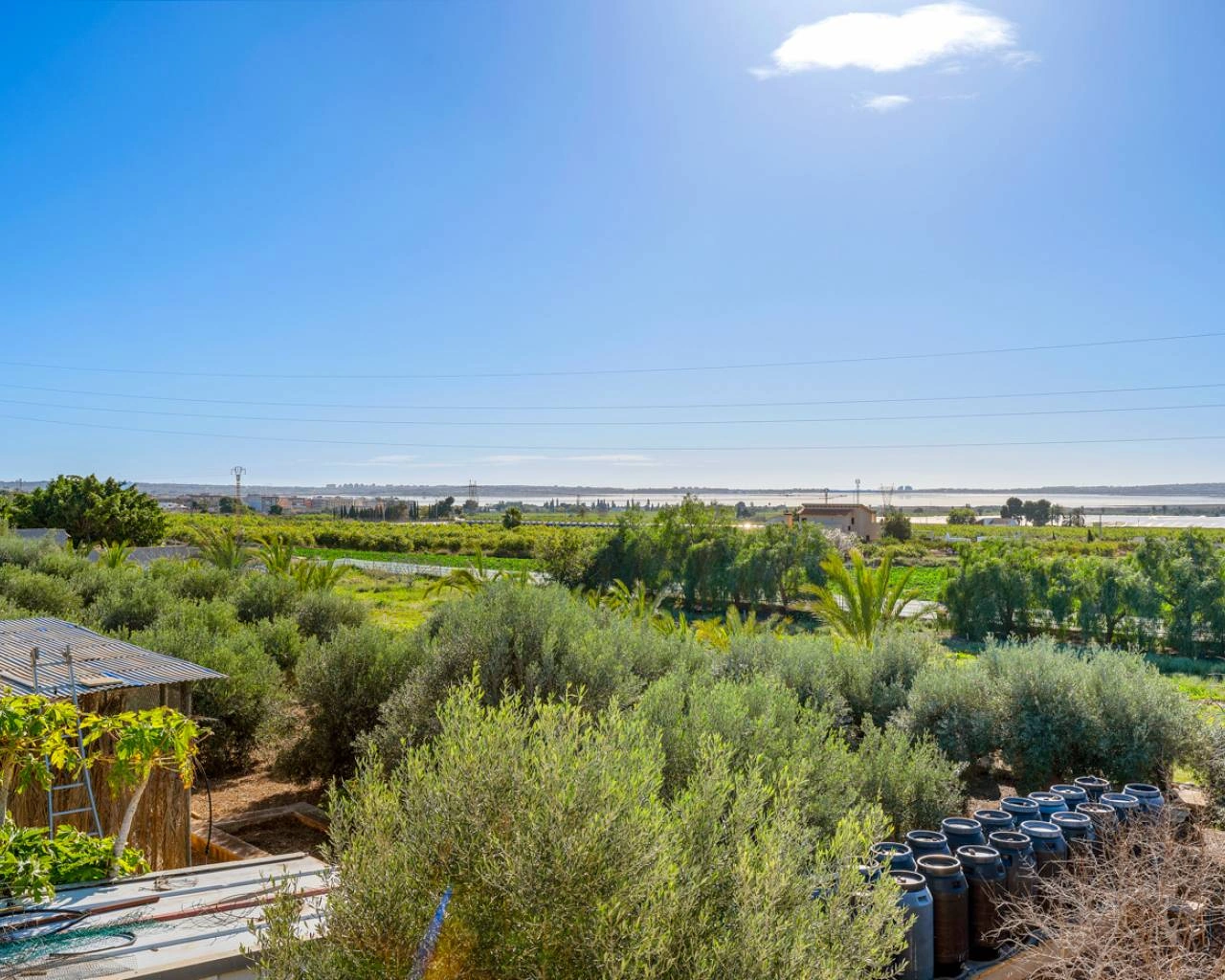 Finca for sale in Los Montesinos