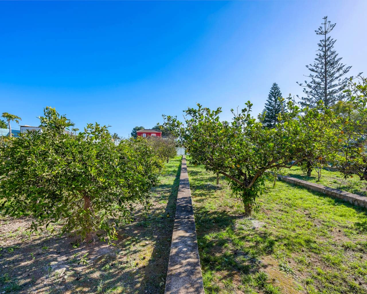 Finca for sale in Los Montesinos