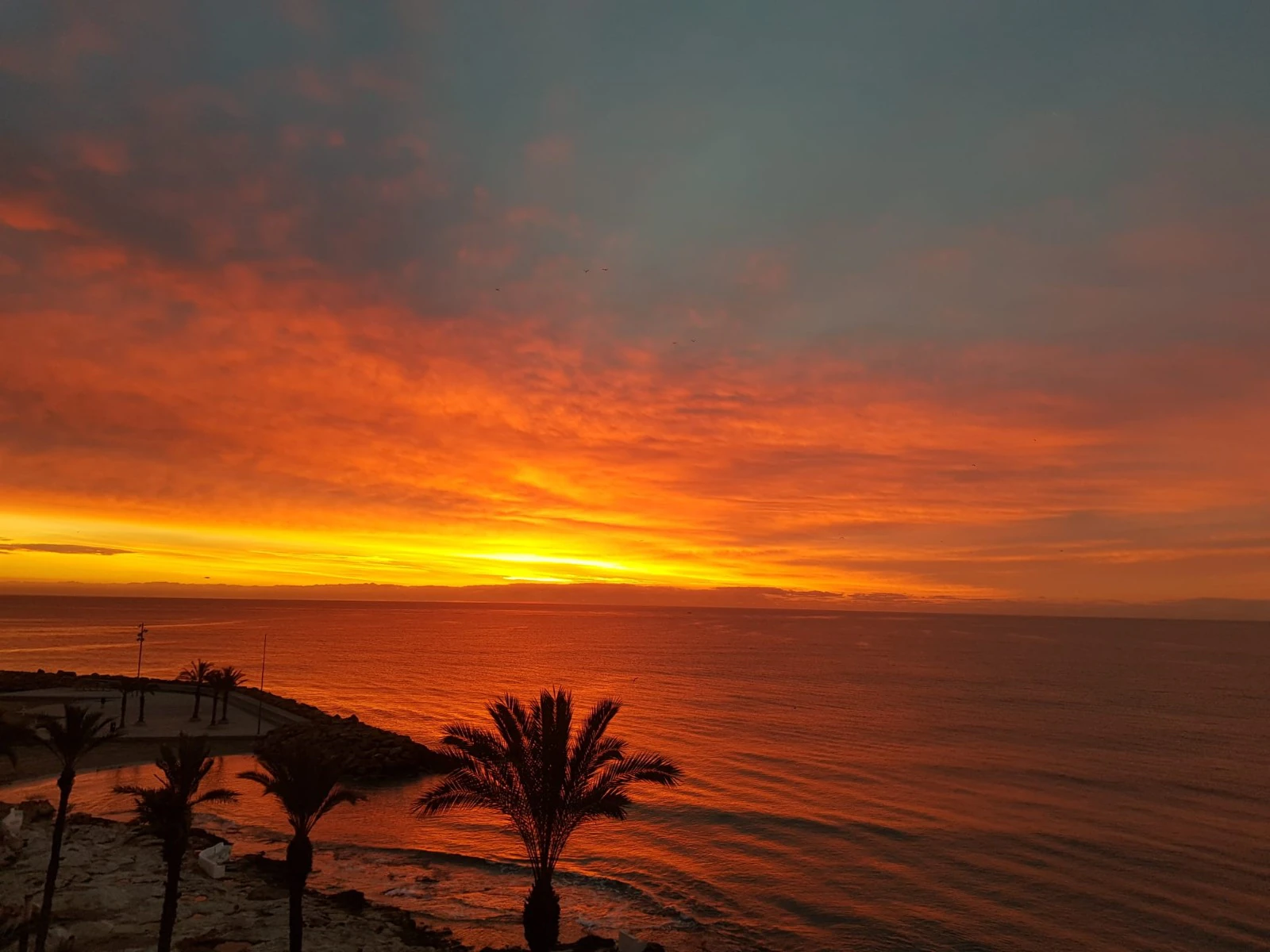 Piso en venta en Torrevieja