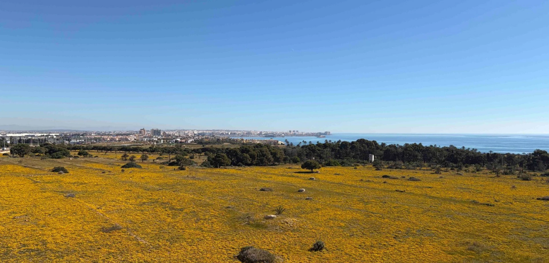 Flat for sale in Orihuela Costa