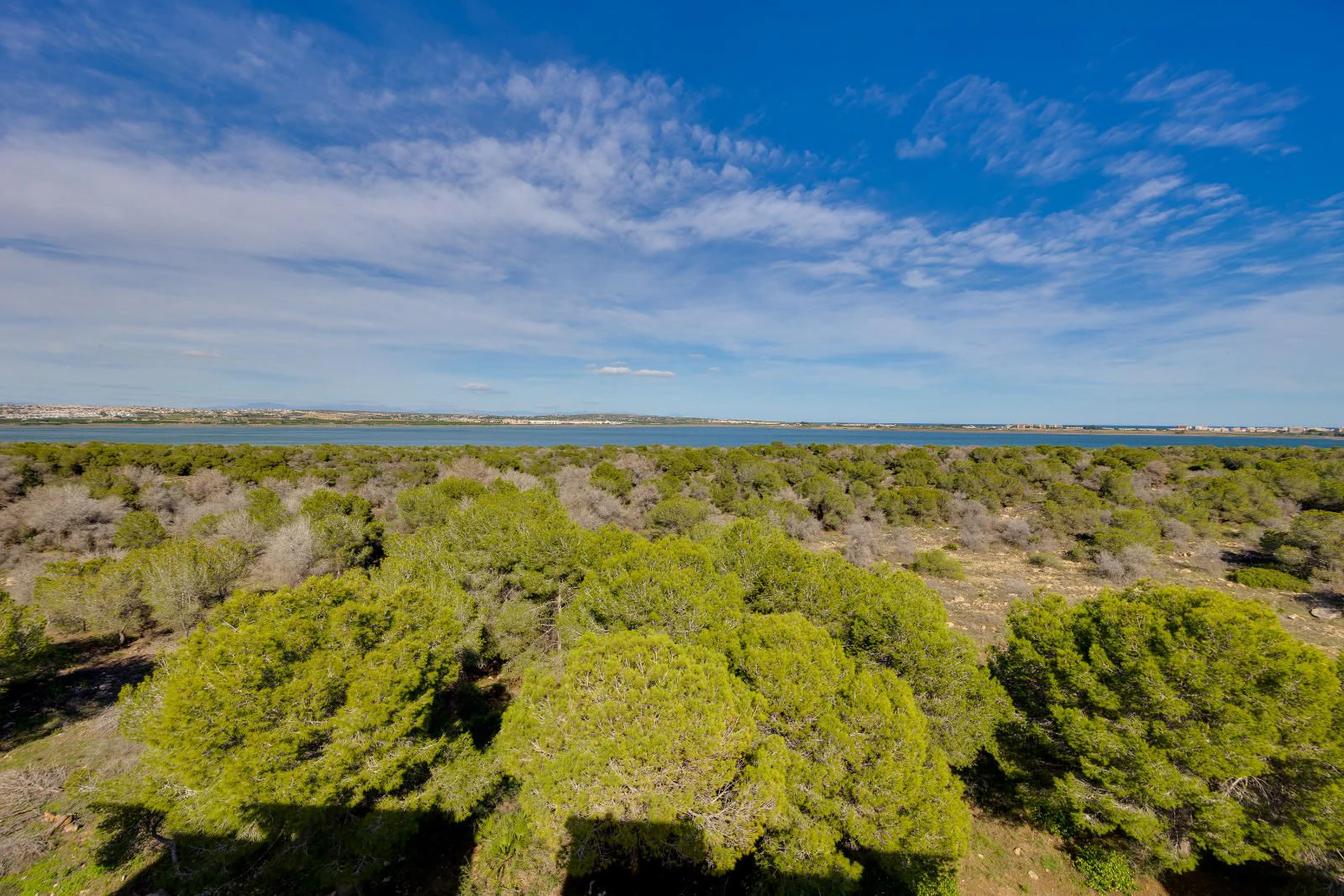 Appartement en ville à la vente à Torrevieja