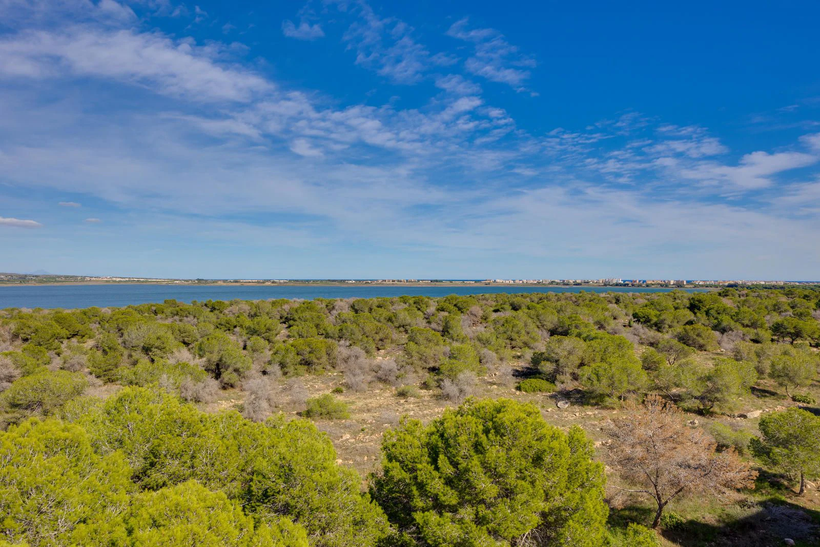 Appartement en ville à la vente à Torrevieja