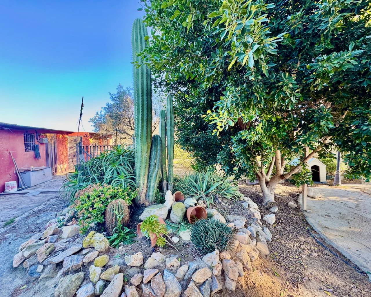 Finca for sale in Guardamar Del Segura