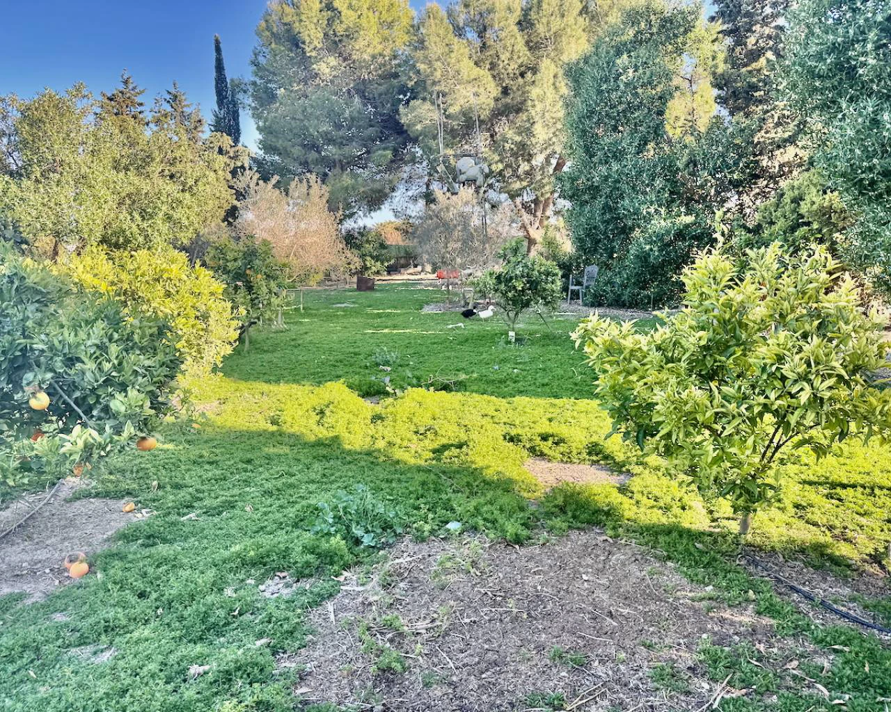 Finca for sale in Guardamar Del Segura