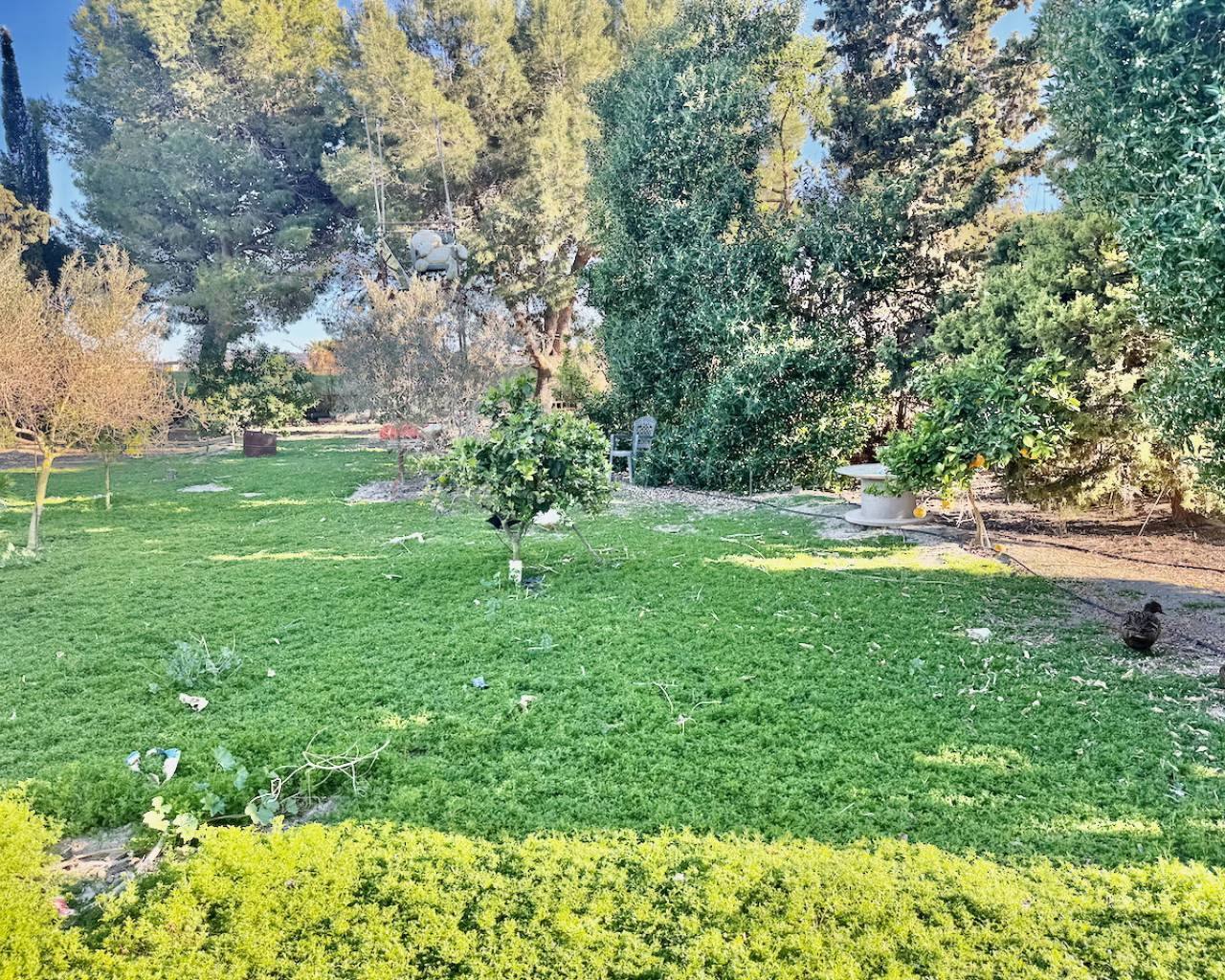 Finca for sale in Guardamar Del Segura