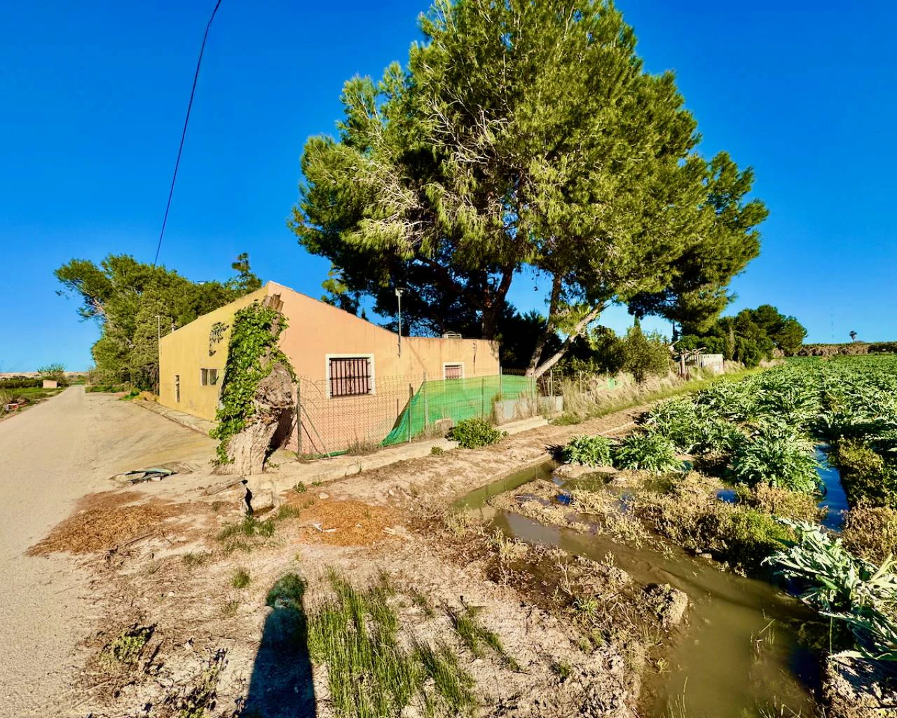 Finca for sale in Guardamar Del Segura