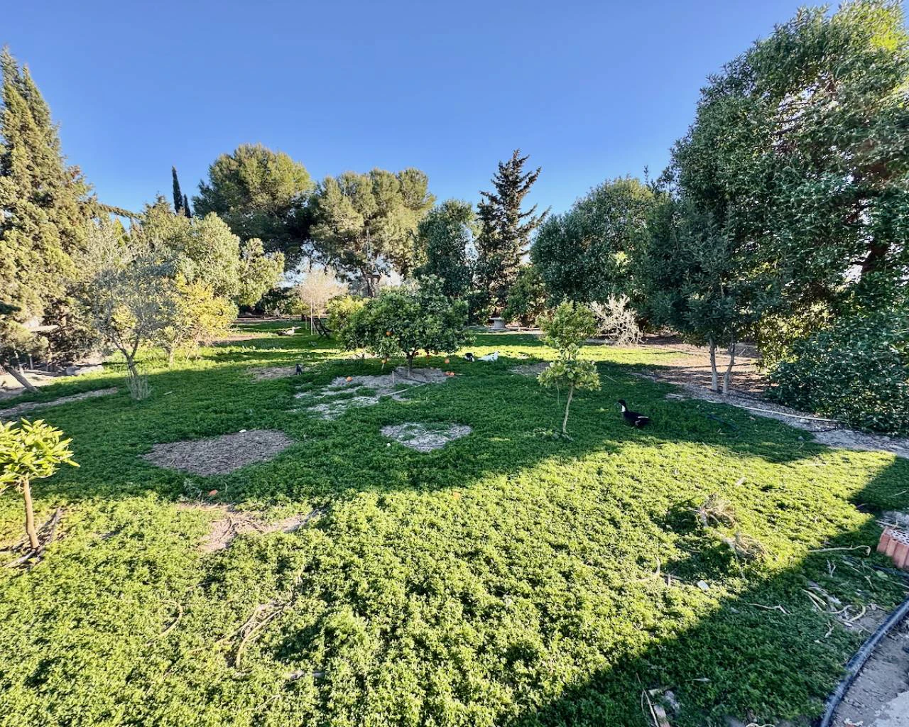 Finca for sale in Guardamar Del Segura