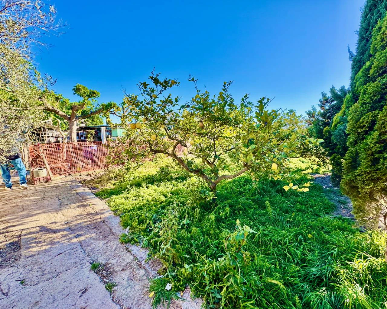 Finca for sale in Guardamar Del Segura