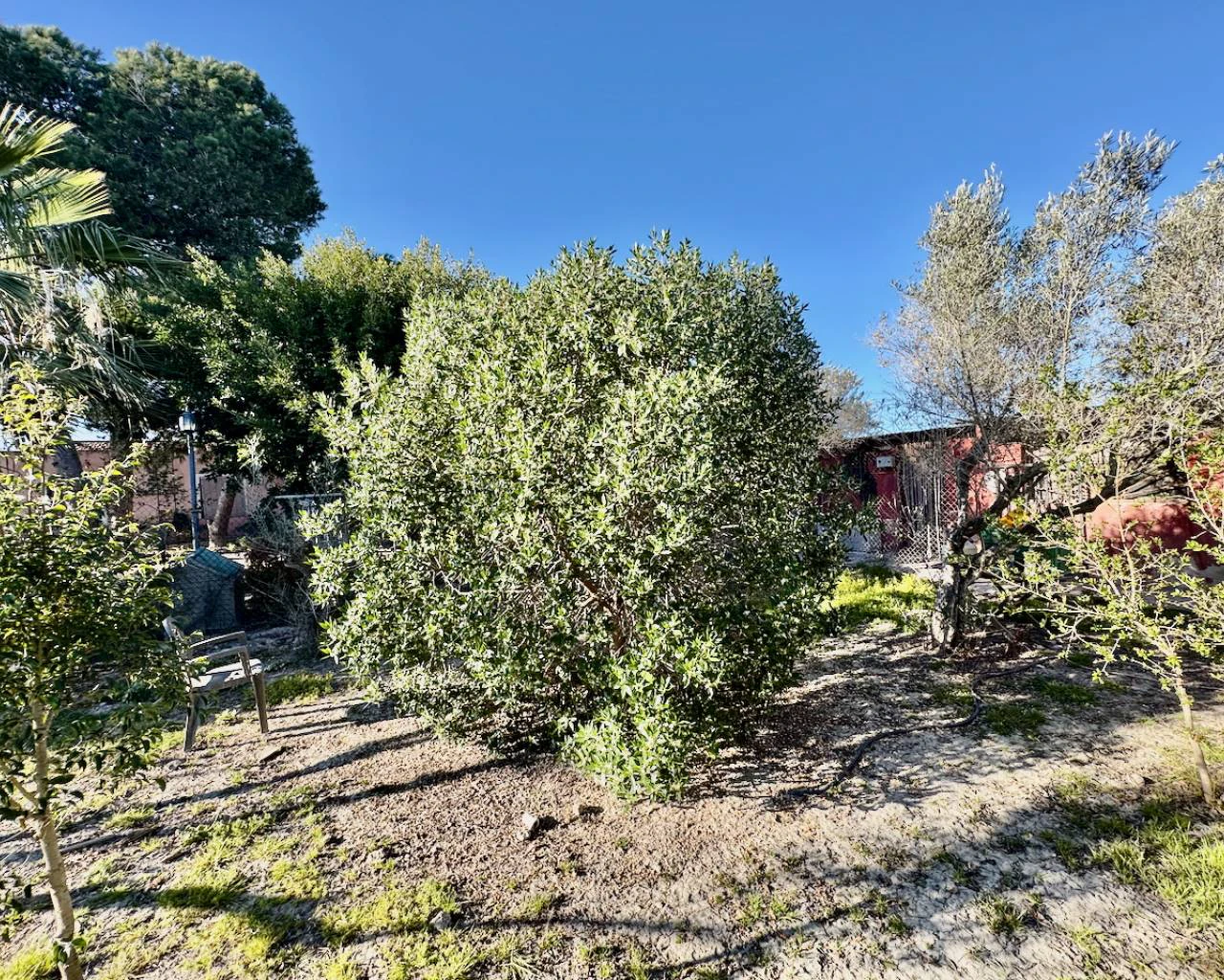 Finca for sale in Guardamar Del Segura