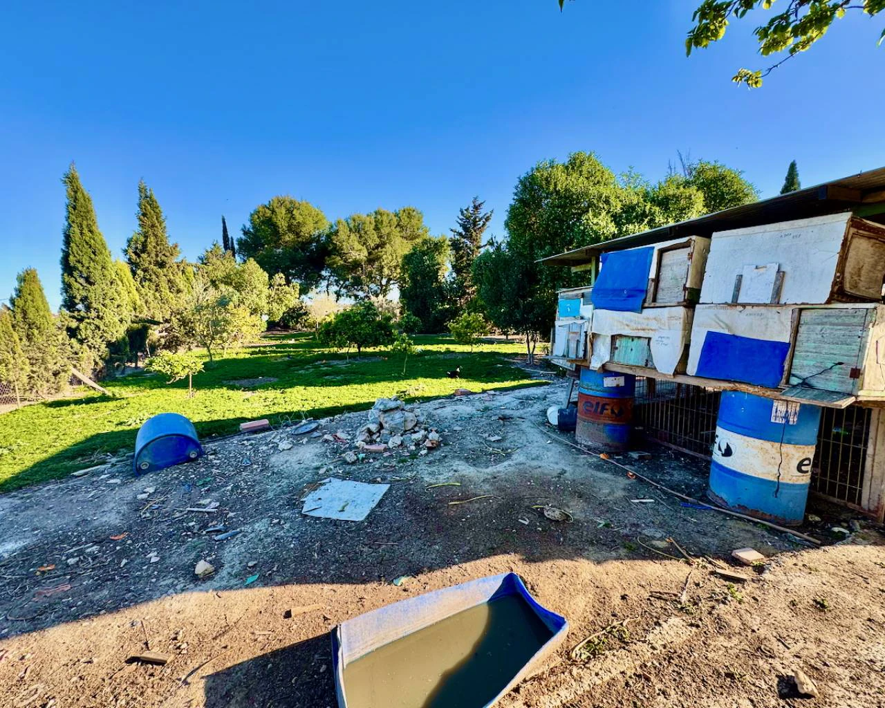 Finca for sale in Guardamar Del Segura