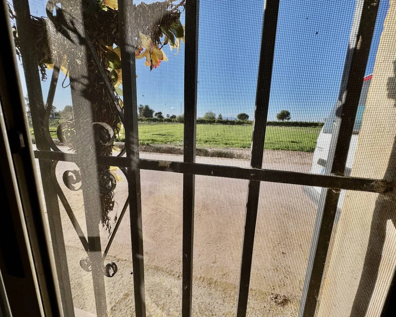 Finca for sale in Guardamar Del Segura