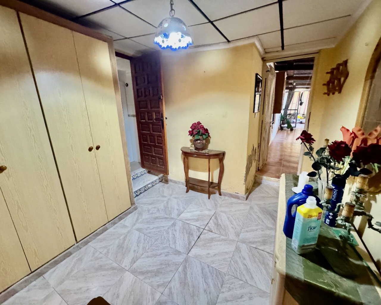 Finca for sale in Guardamar Del Segura