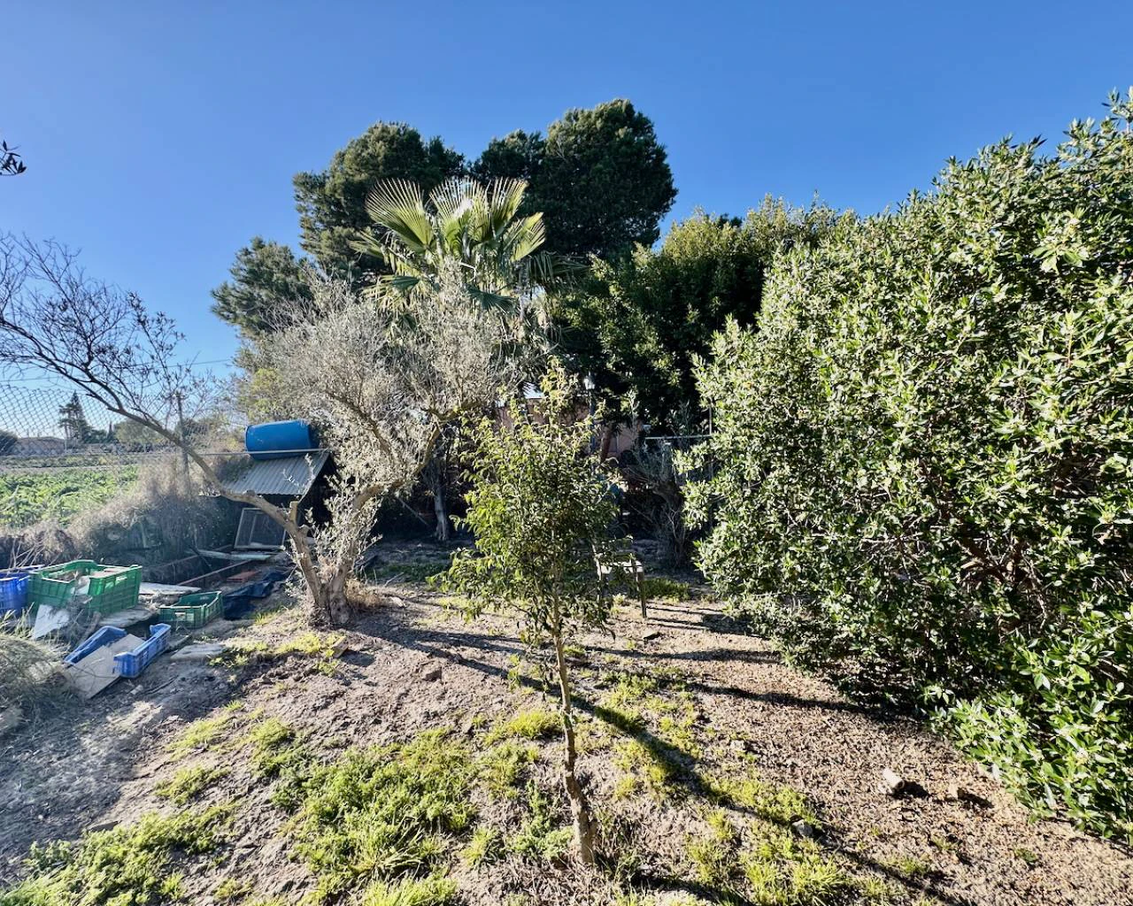 Finca for sale in Guardamar Del Segura