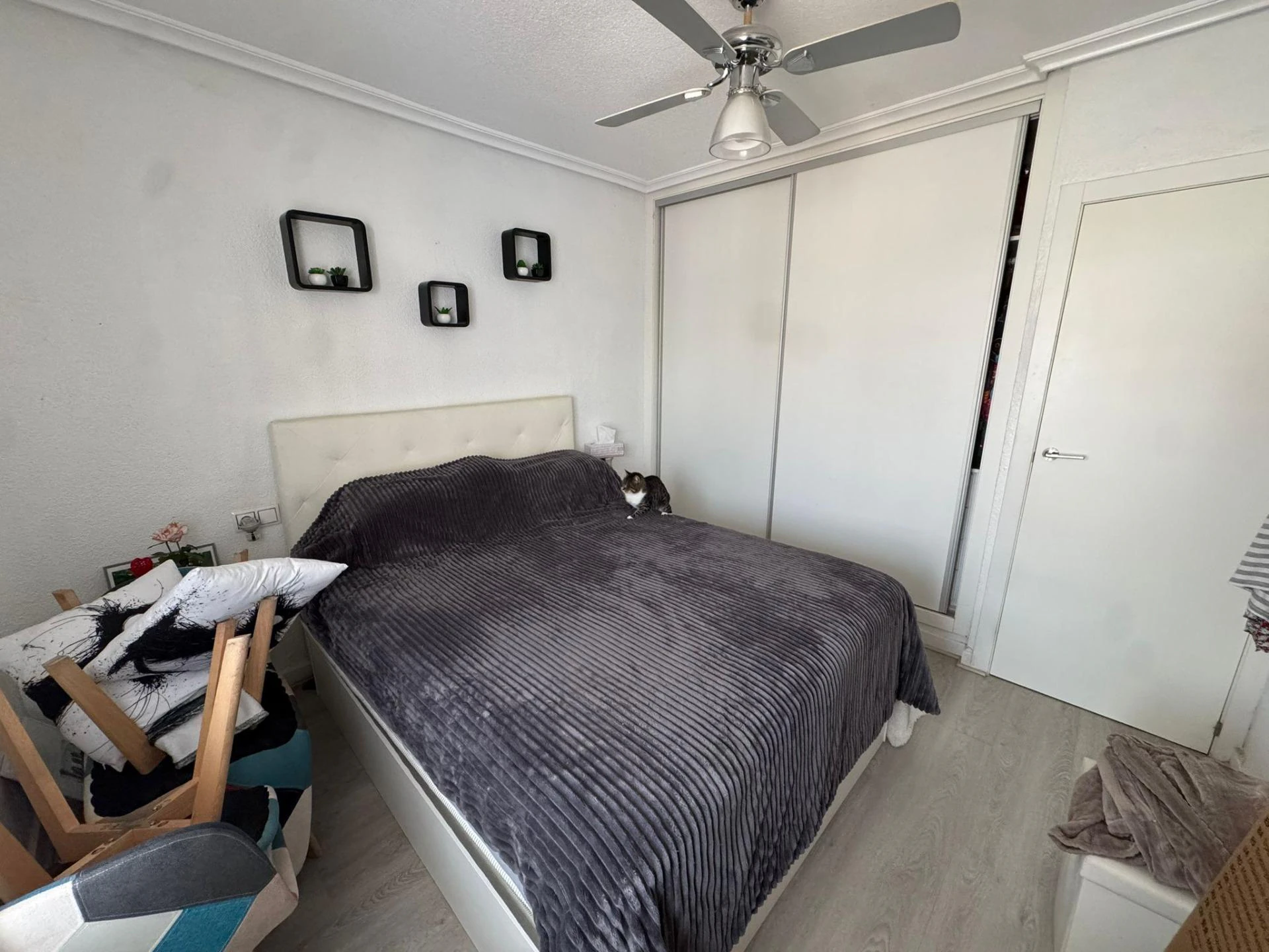 RENOVATED BUNGALOW WITH NO NEIGHBORS ABOVE