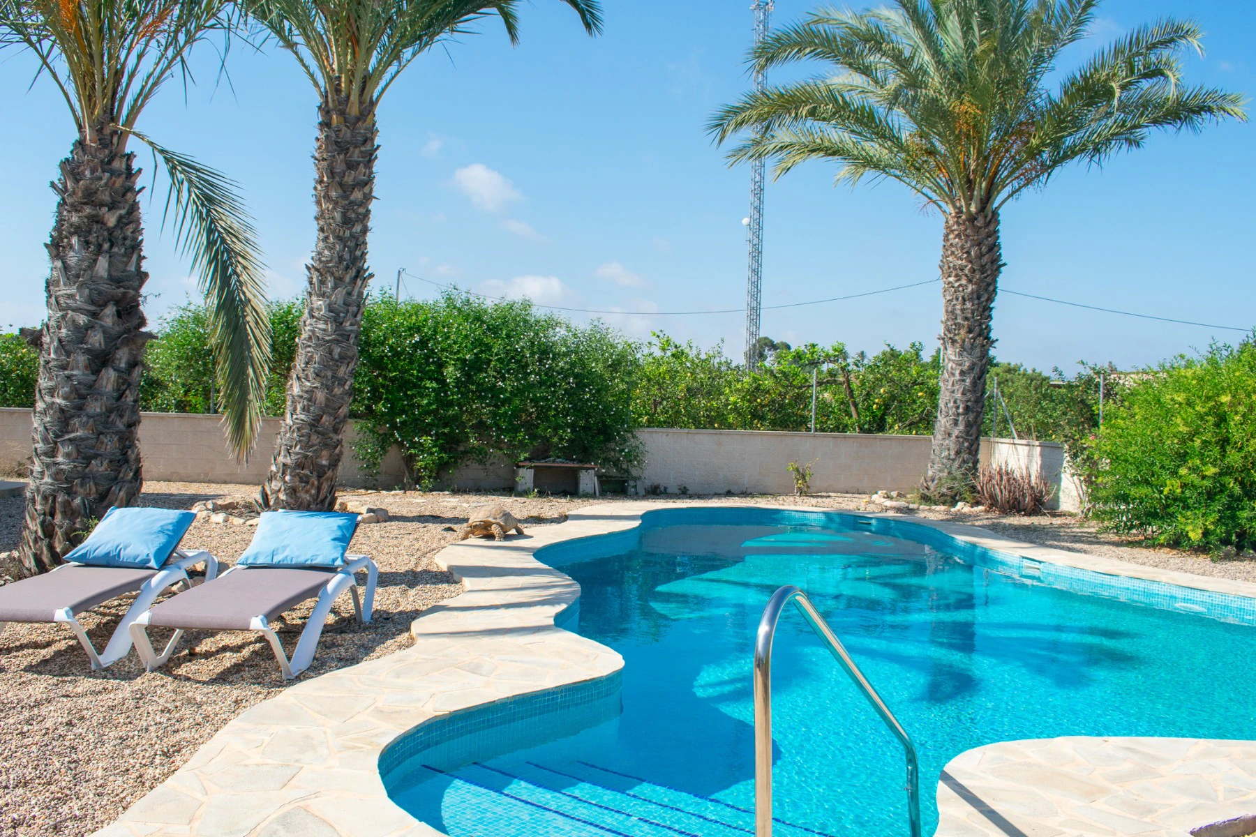 Villa à la vente à Guardamar Del Segura