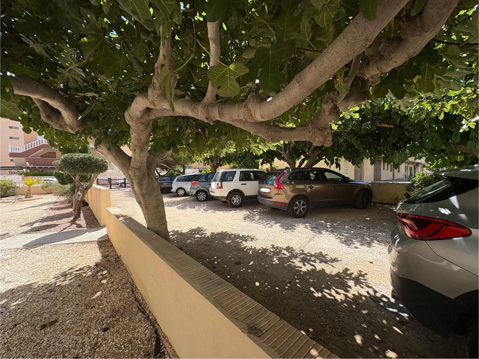 Apartment zum verkauf in Torrevieja