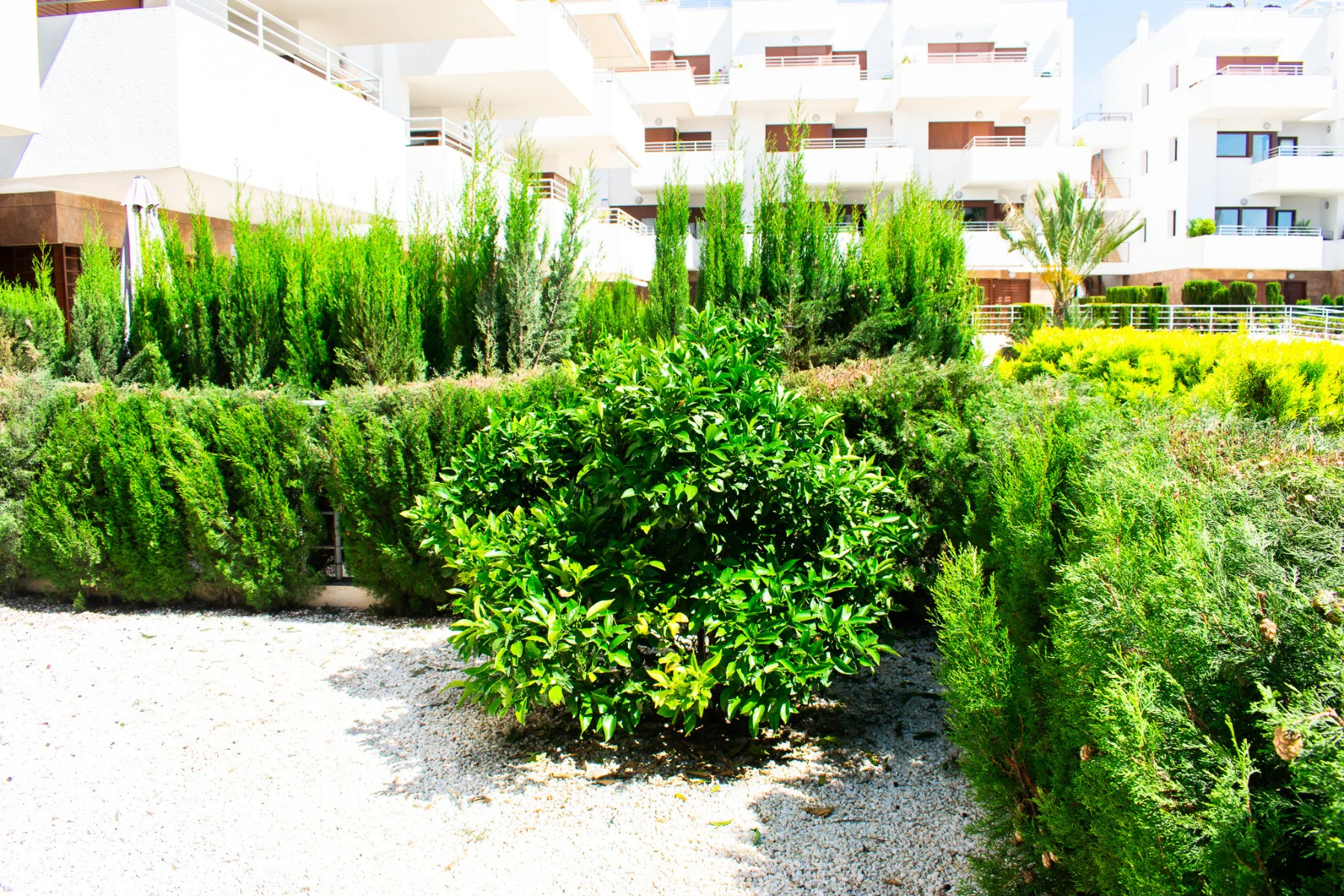 Flat for sale in Orihuela Costa