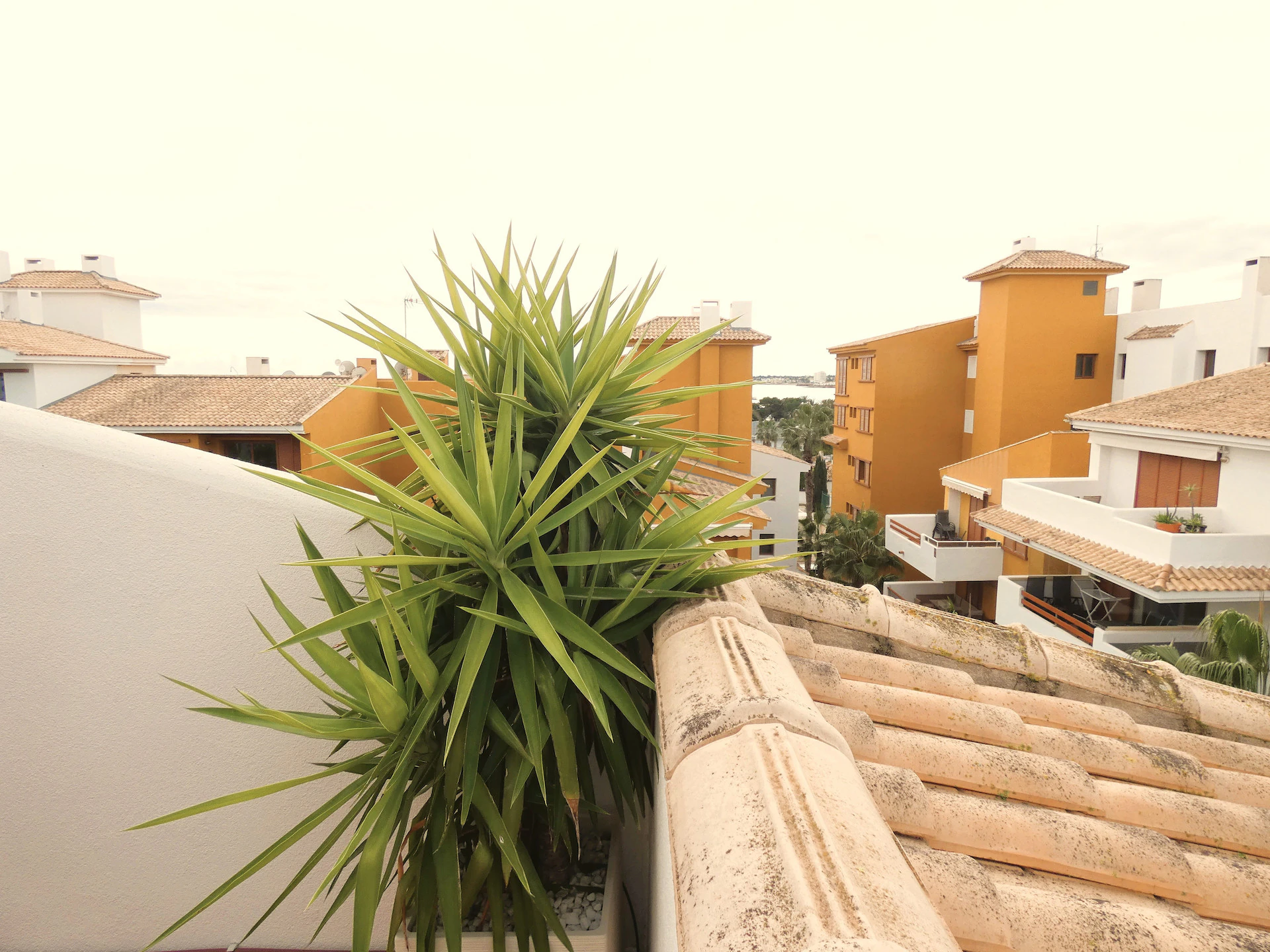 Flat for sale in Torrevieja