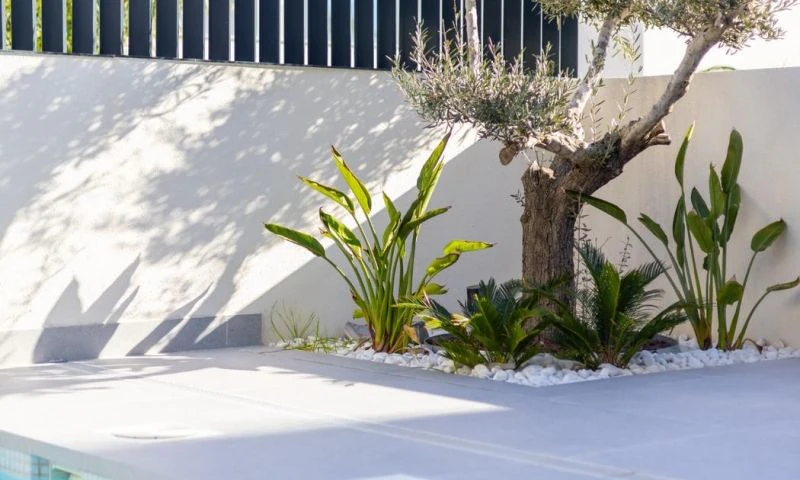 Villa à la vente à Algorfa