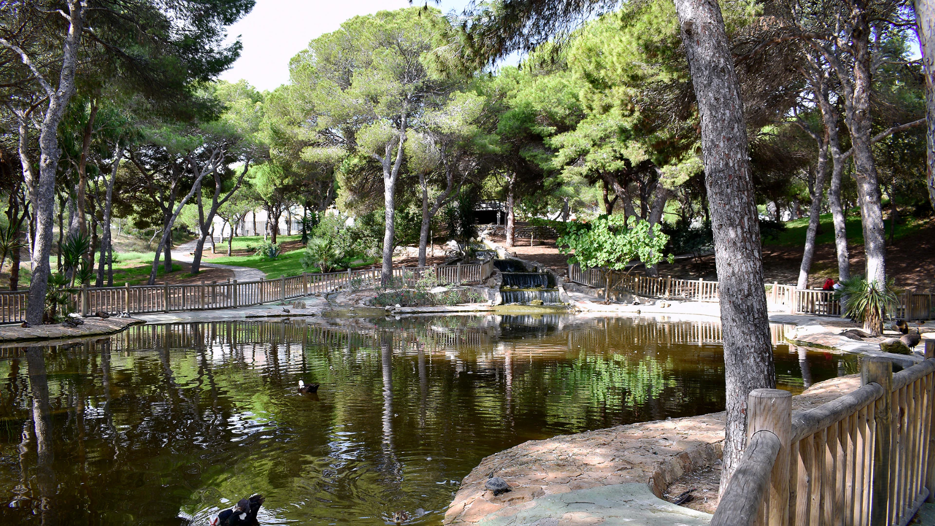Terrain à la vente à Guardamar Del Segura