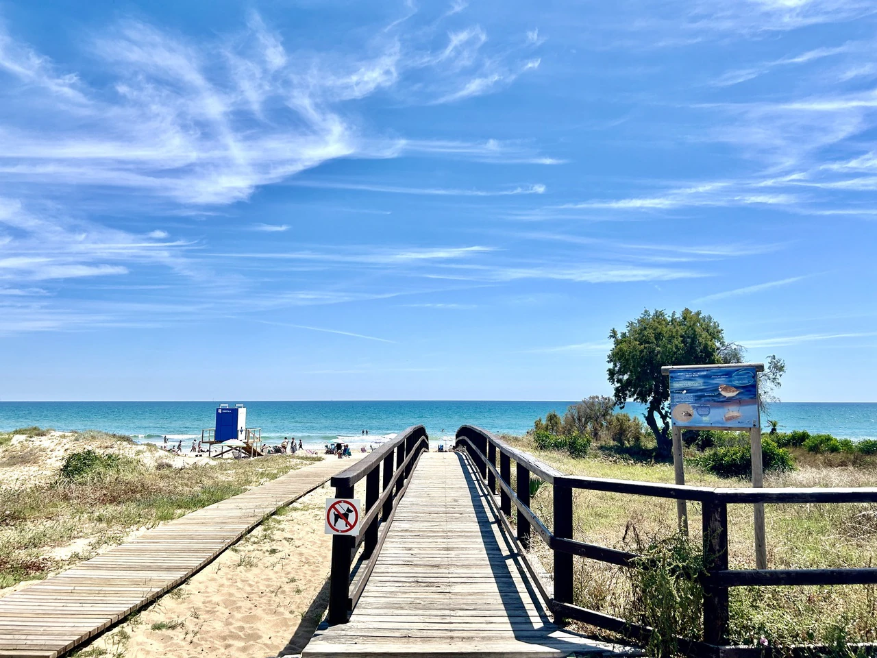Wohnung zum verkauf in La Mata