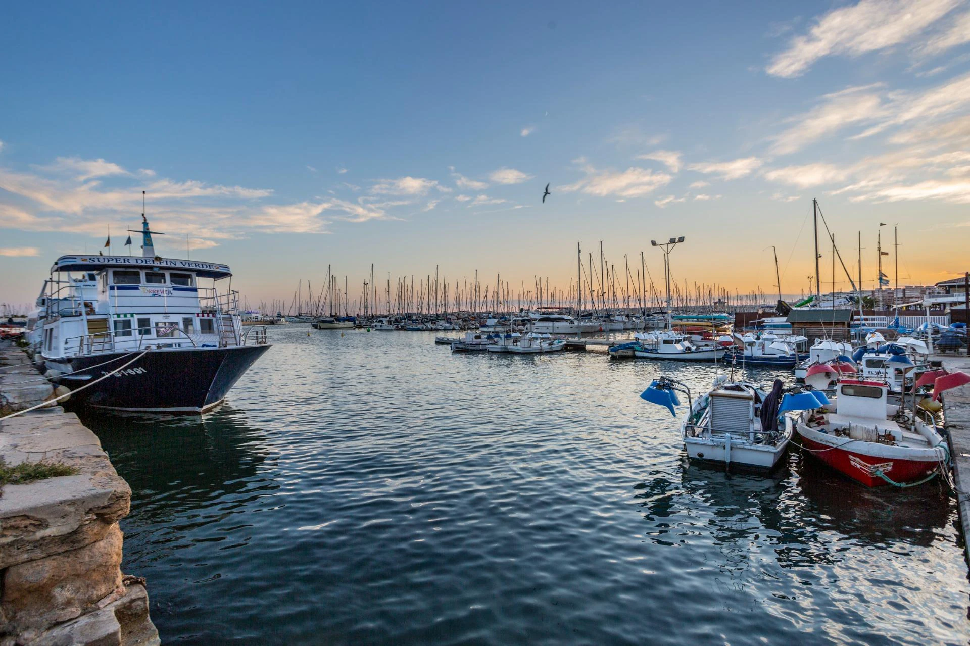 Studioleilighet med basseng og sørvendt beliggenhet, 700 m fra Playa del Cura i Torrevieja