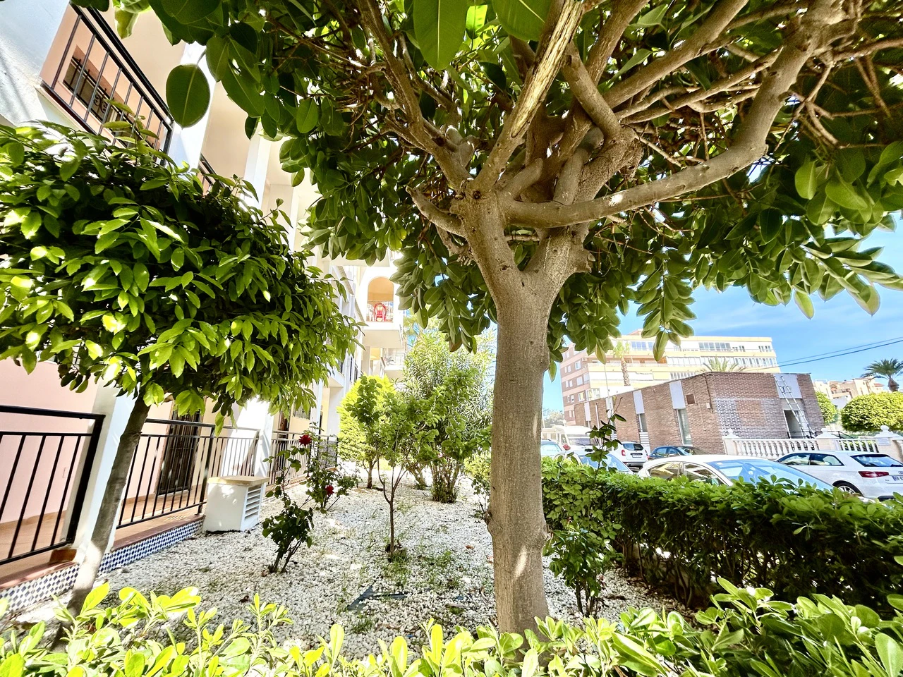 Flat for sale in Torrevieja