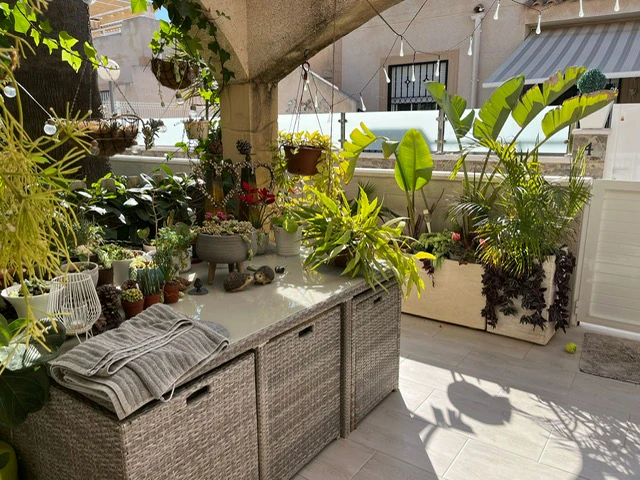 Casa en venta en Playa Flamenca