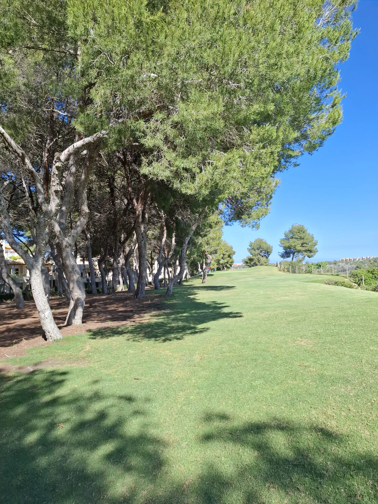 Penthouse for sale in Las Ramblas Golf