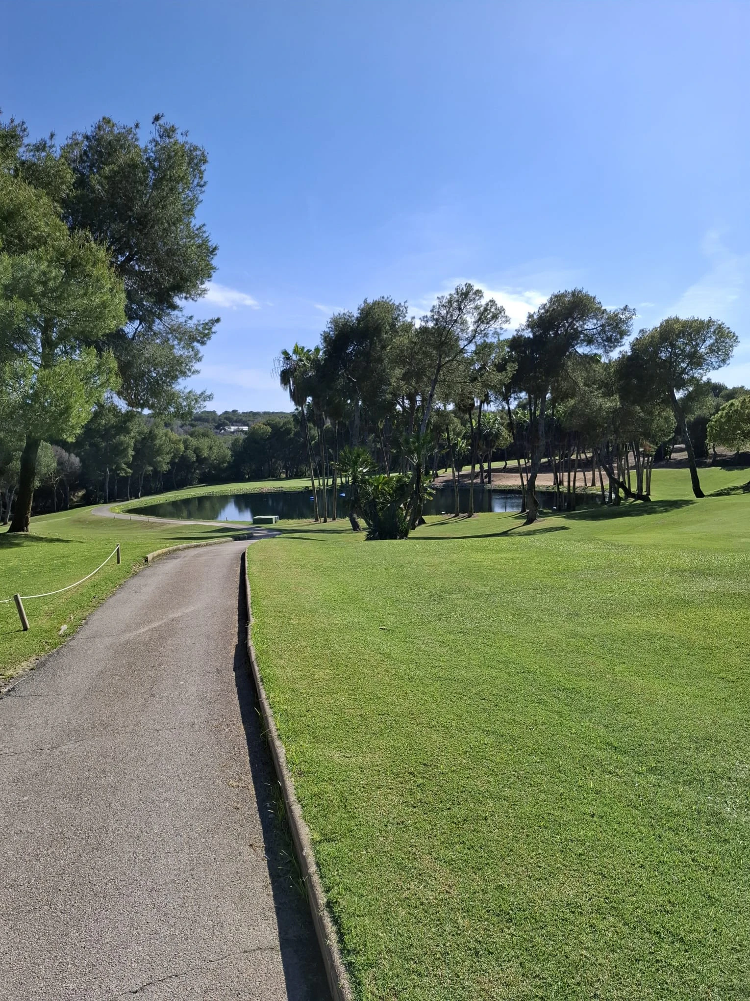 Penthouse for sale in Las Ramblas Golf