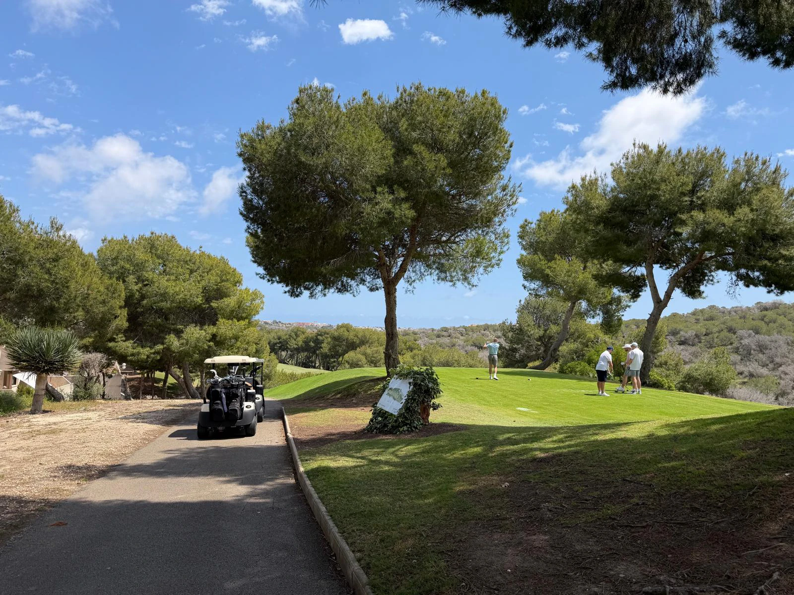 Penthouse for sale in Las Ramblas Golf
