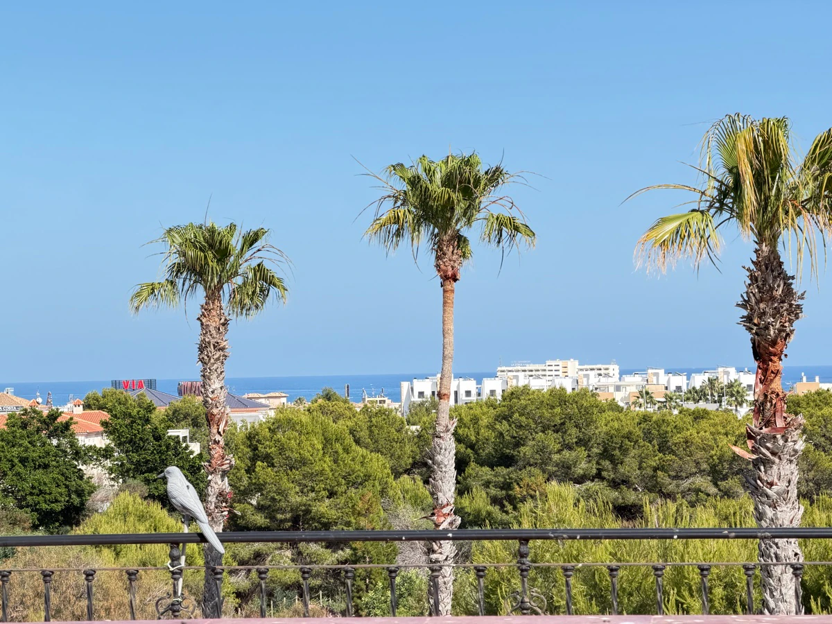 Semi-detached house for sale in Playa Flamenca
