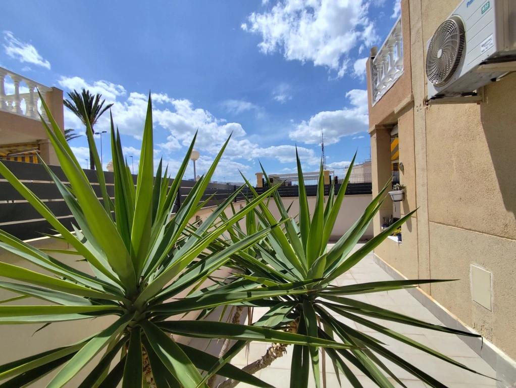 Garden Apartment for sale in Torrevieja