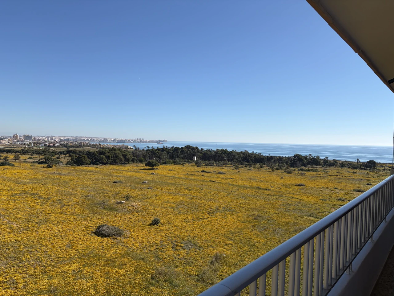 Penthouse til salg i Punta Prima