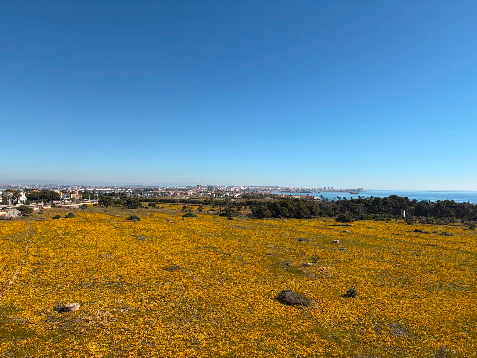 Penthouse for sale in Torrevieja