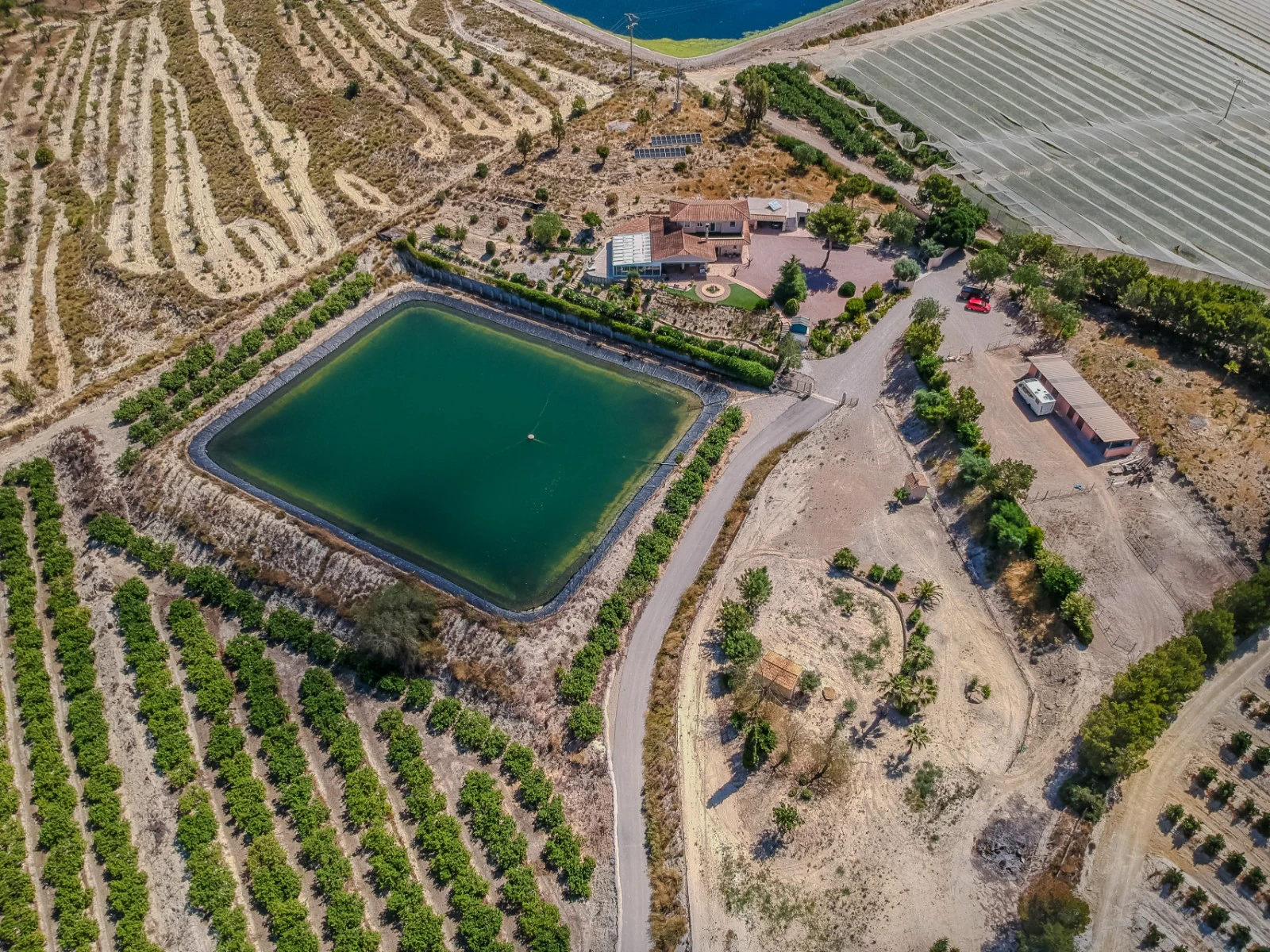 Finca till försäljning i San Miguel De Salinas