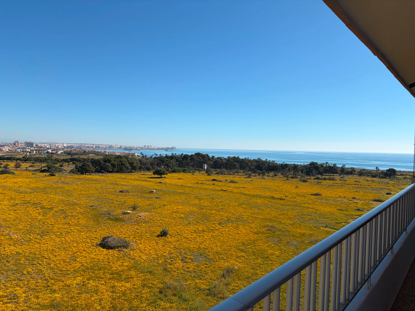 Penthouse for sale in Torrevieja