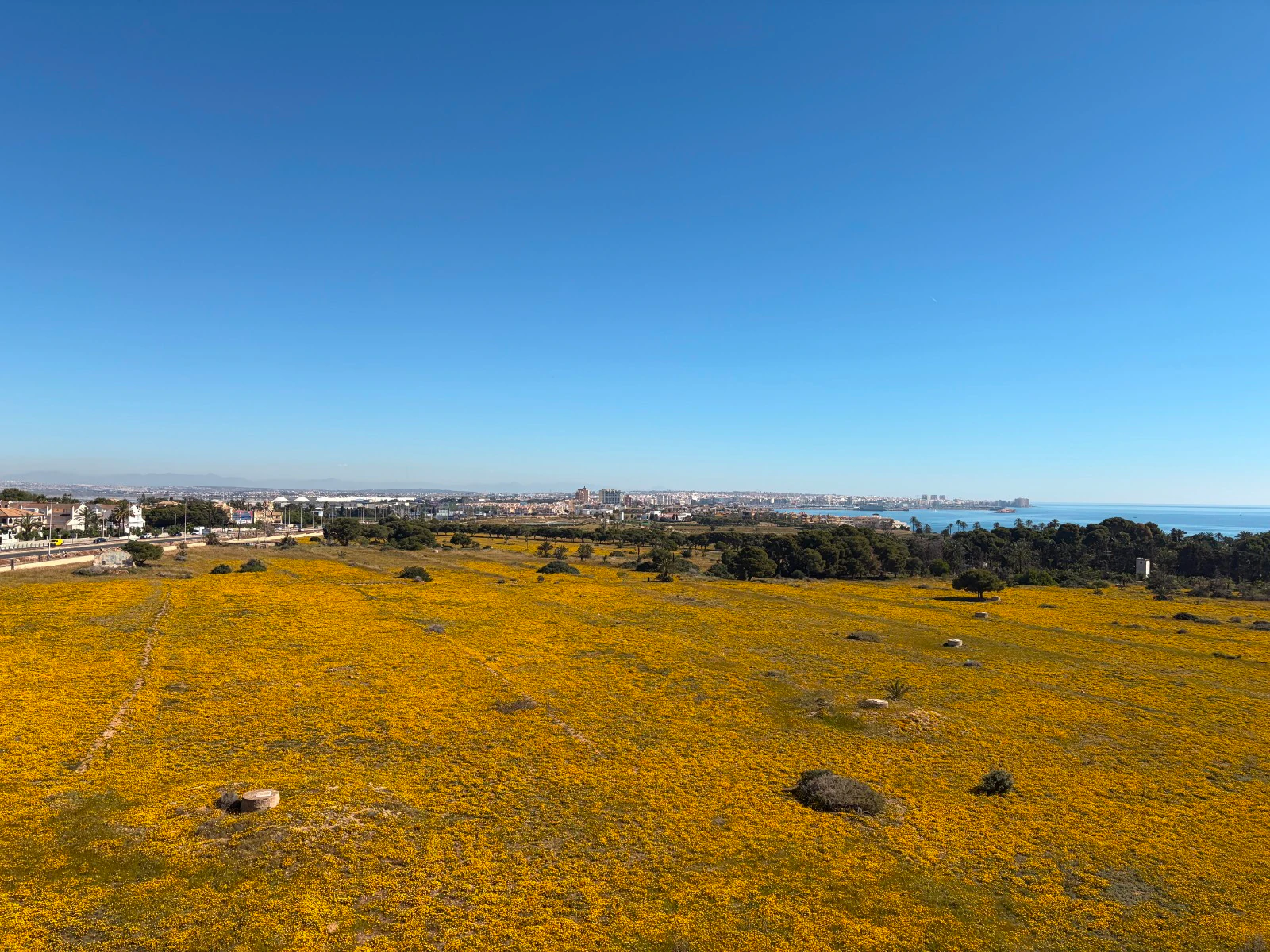 Penthouse for sale in Torrevieja