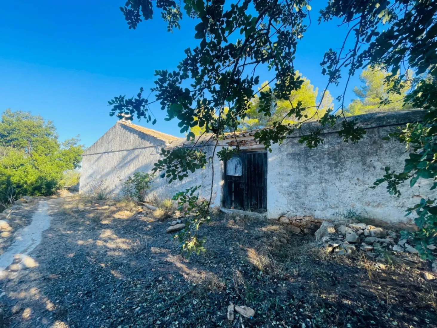 Casa de campo en zona Rotas con parcela de 12000m2.