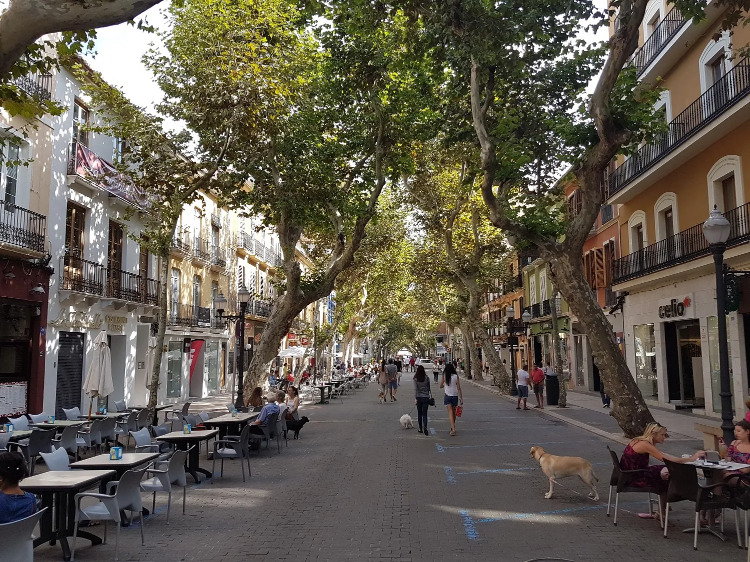 Apartment en venta en Denia