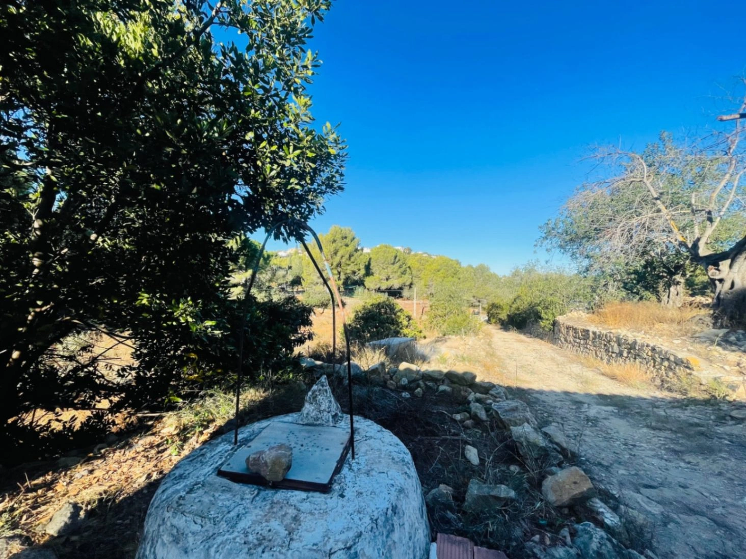Casa de campo en zona Rotas con parcela de 12000m2.