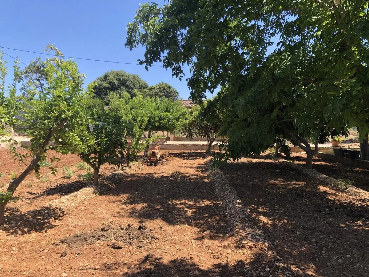Ondara. Casa de campo amplia con piscina en venta
