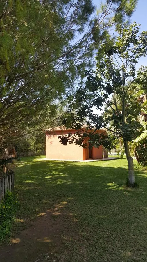 Ondara. Finca amplia en venta