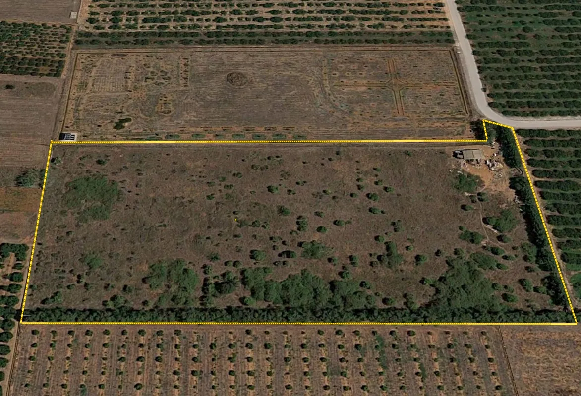 Finca en Denia con proyecto de vivienda