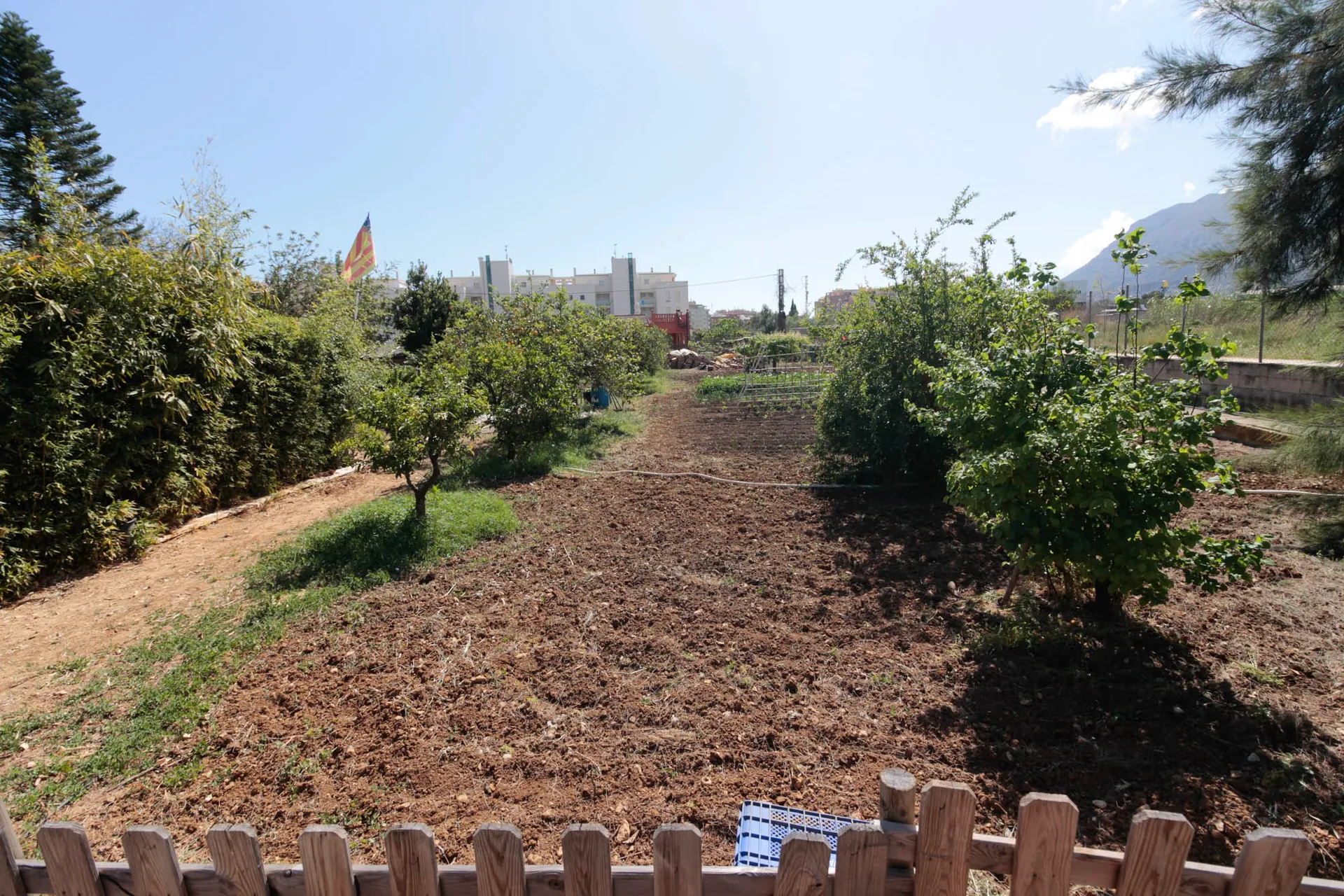 Solar urbano para construir en Denia
